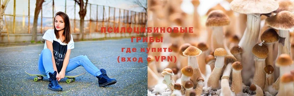 COCAINE Богородск