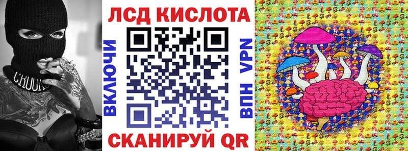 mega вход  как найти наркотики  Городище  дарк нет как зайти  Наркотические марки 1,5мг 